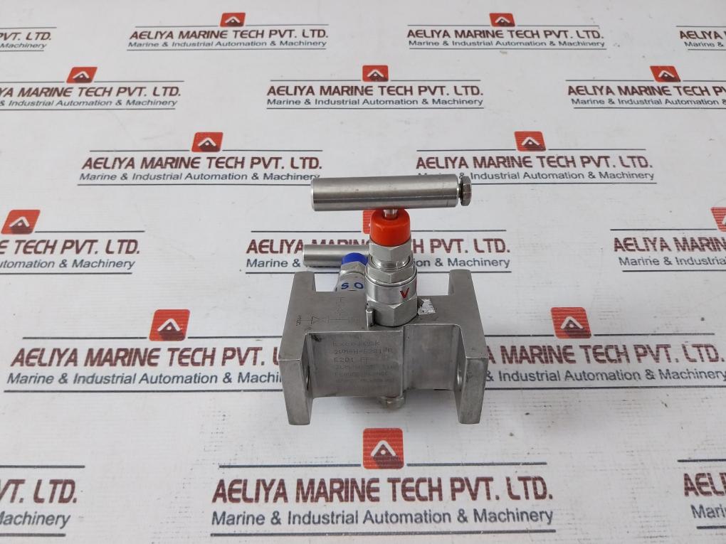 Excelock 2Vm/H-ss 316 Needle Valve E201 Ff