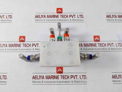 Excelock E505 Dm Valves &amp; Manifold 1/2"Npt (F) X Flange Hydro T.Pr.6000 Psi