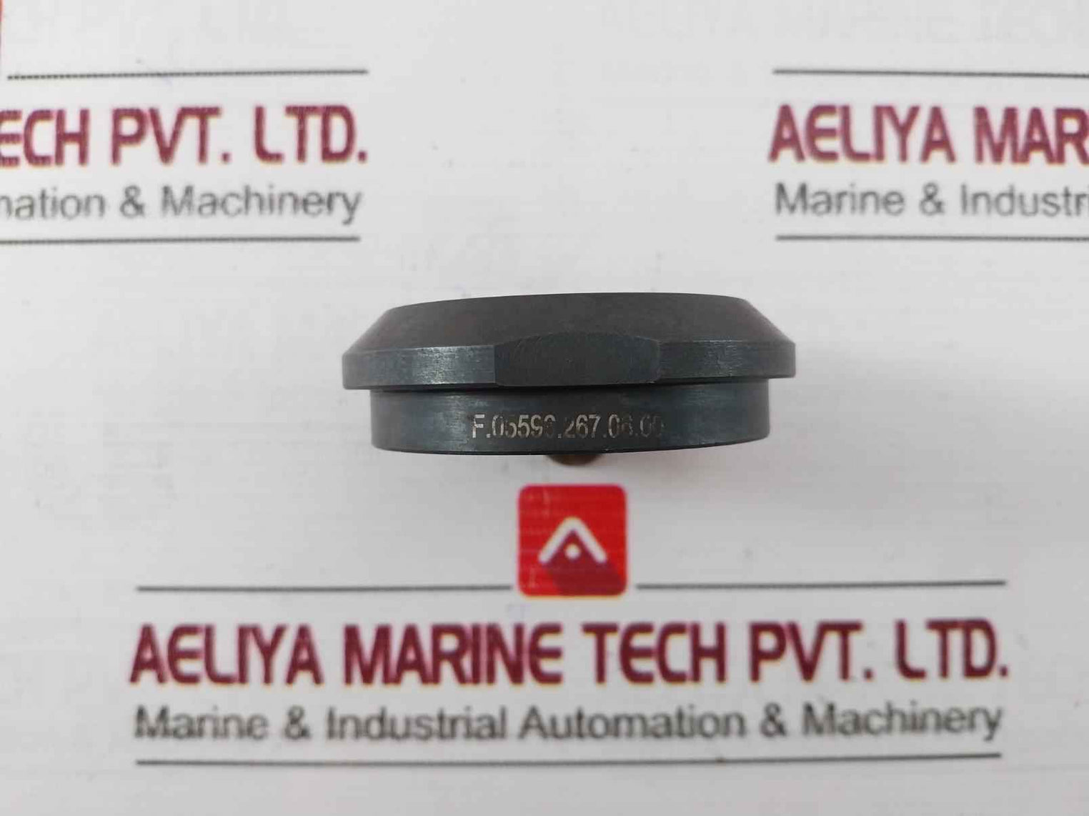 F.05596.267.06.00 Lamping Segment