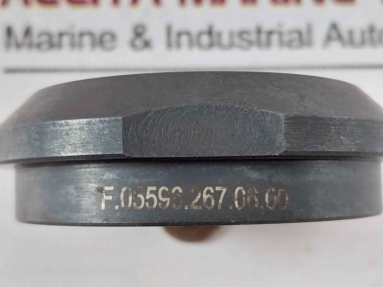 F.05596.267.06.00 Lamping Segment