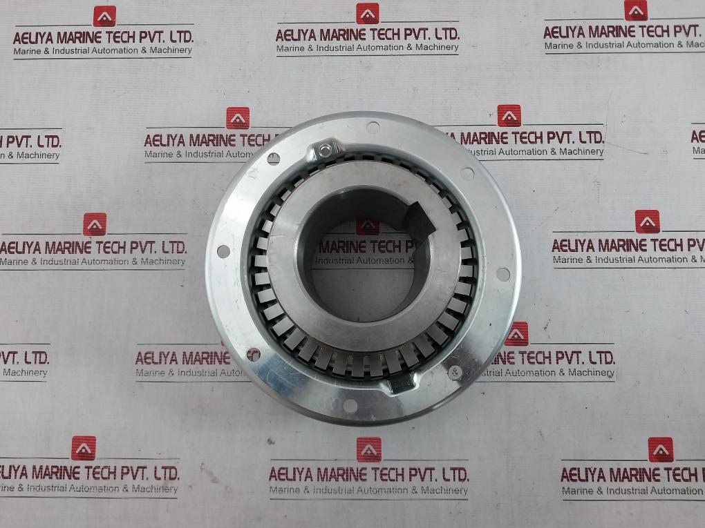 Falk 1100T20 Steelflex Sf Coupling Set 302-99-01-5000 Horizontal Vertical