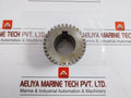 Falk 40T Steelflex Coupling