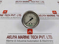 Famabras 14105-1 Manometer Pressure Gauge 0-6 Bar Stainless Steel