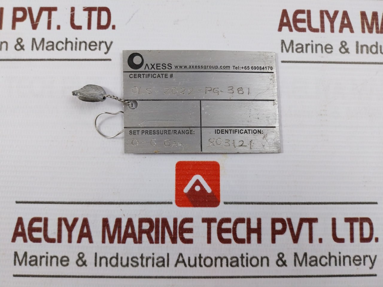 Famabras 14105-1 Manometer Pressure Gauge 0-6 Bar Stainless Steel