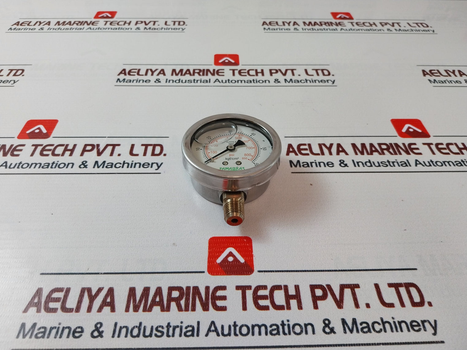 Famabras 14105-1 Pressure Gauge 0-60 Kgf/Cm2