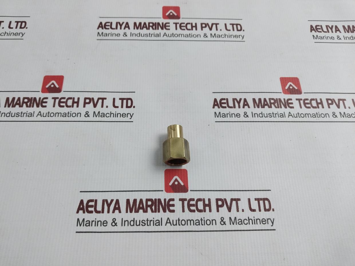Fann Instrument 100063057 C Piston Plunger Brass - Aeliya Marine Tech