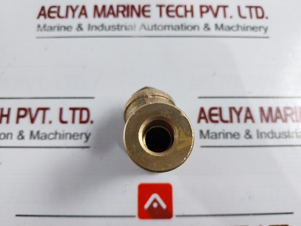 Feinsieb Pn16 Dn6 Strainer With Internal Thread Ov/0v 250 Mum