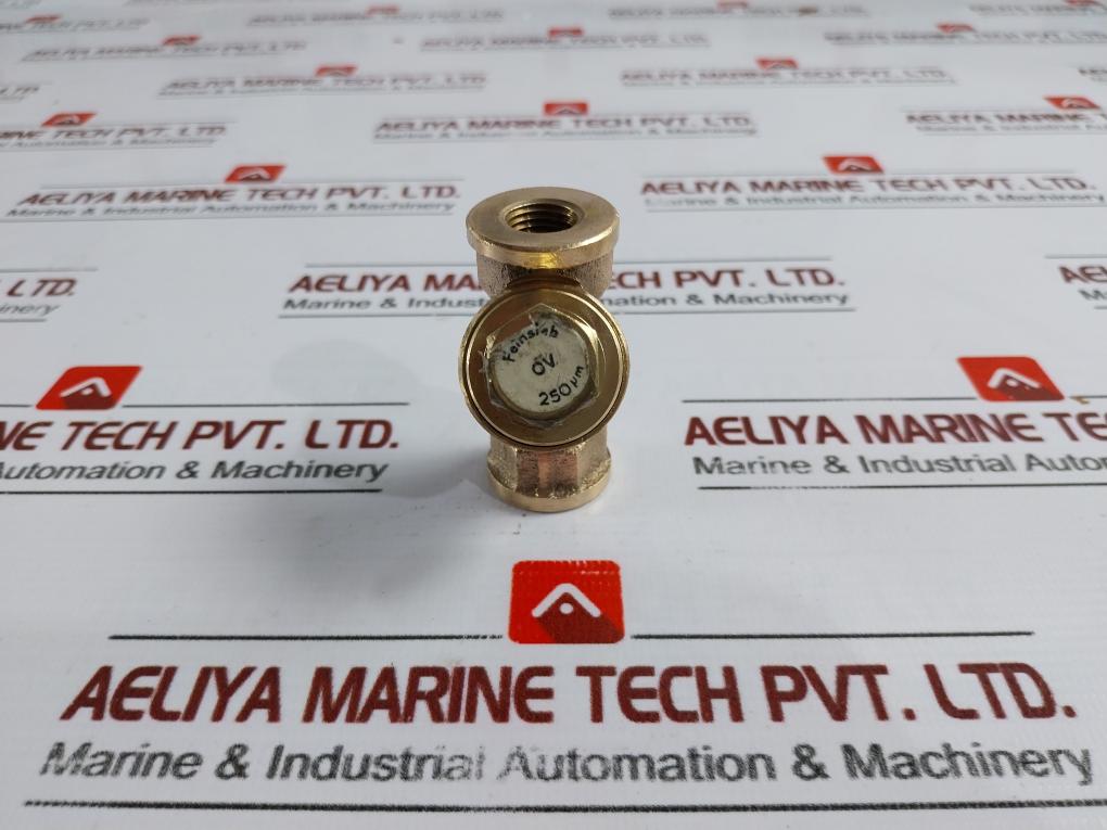 Feinsieb Pn16 Dn6 Strainer With Internal Thread Ov/0v 250 Mum