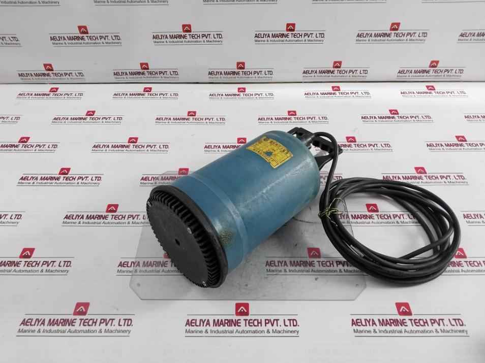 Fengxiang Submersible Pump 110V 7A 5M 60Hz