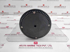 Fengxiang Submersible Pump 110V 7A 5M 60Hz