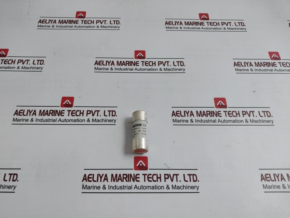 Ferraz Shawmut Fr22Gg50V100 Fuse 100A 500V~ Gg 60269-2