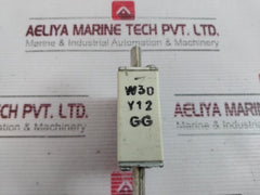 Ferraz Shawmut Nh000Gg69V20 Fuse 20A 690V 80Ka