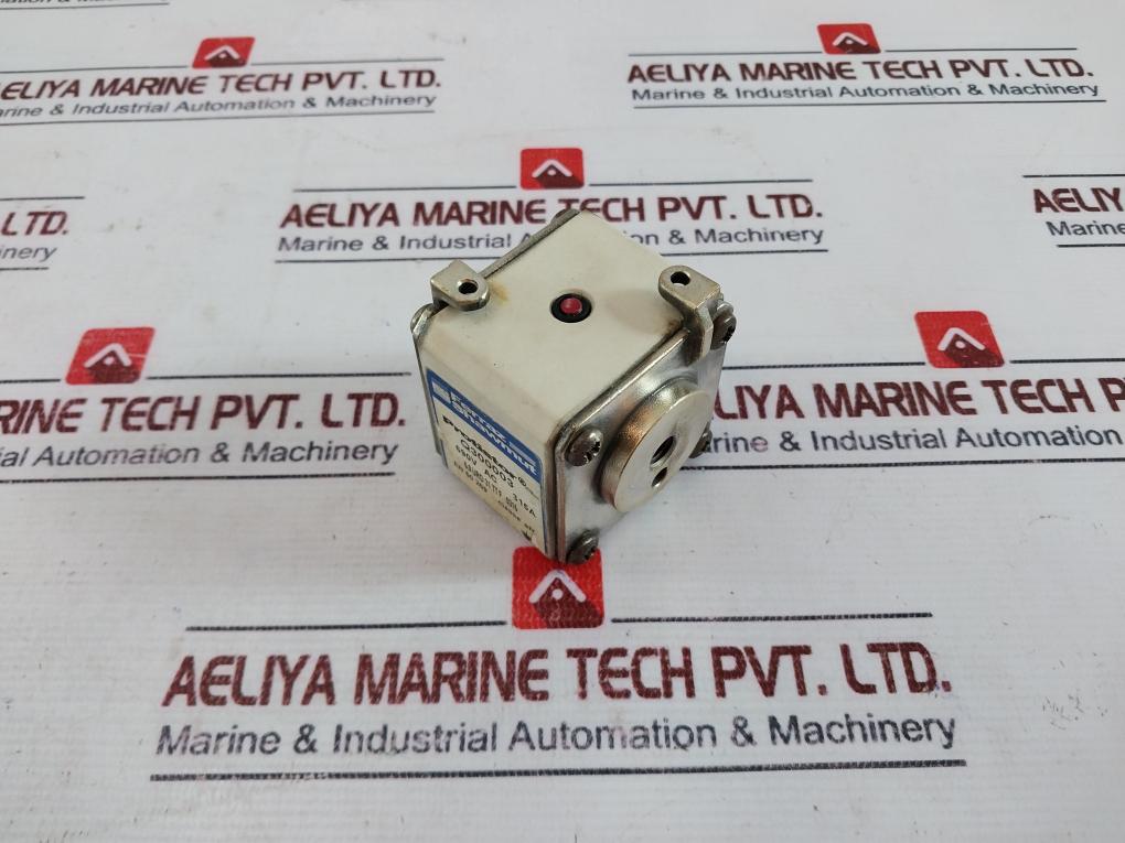 Ferraz Shawmut Protistor Q300003 - 690V AC 315A Class AR