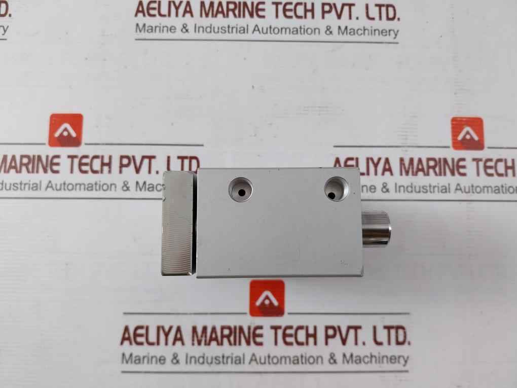 Festo Dfm-25-20-p-a-gf Pneumatic Guided Cylinder 170847