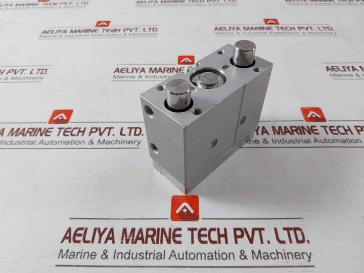 Festo Dfm-25-20-p-a-gf Pneumatic Guided Cylinder 170847