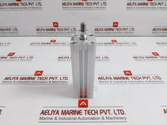 Festo Pneumatic Air Cylinder Adn-32-100-a-p-a