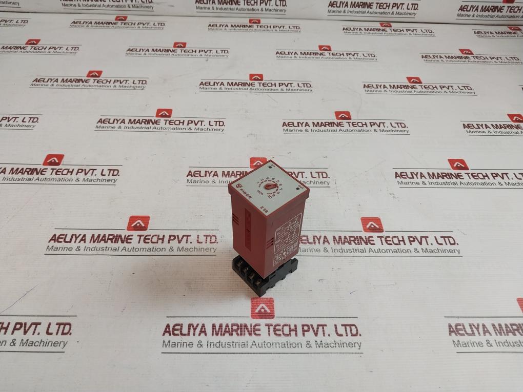 Fiber E 58 Multifunction Electronic Timer 24/110/220V 250V- 10A 30X4W