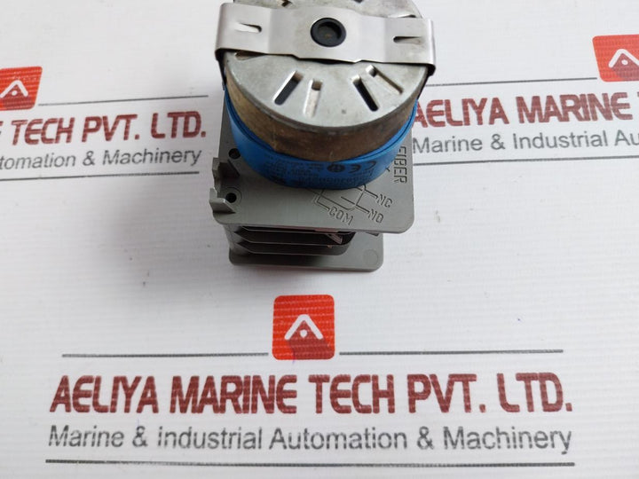 Fiber Electromechanical Cam Timer P256J03B2F6- 230V 60Hz