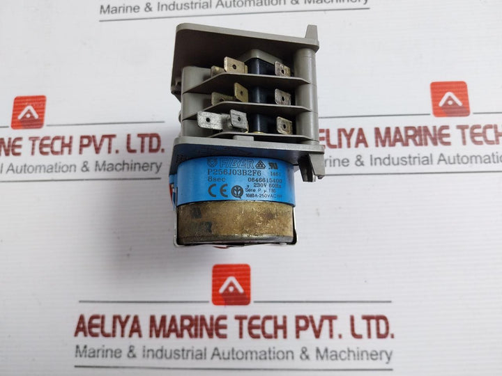 Fiber Electromechanical Cam Timer P256J03B2F6- 230V 60Hz