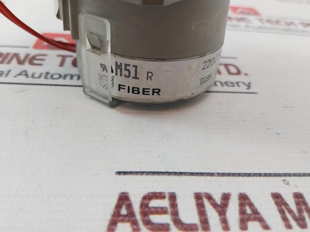 Fiber M51 R Refrigerator Cabinet Motor 220V 50/60Hz