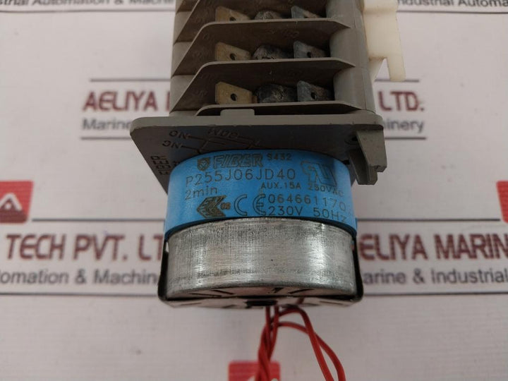 Fiber P255J06Jd40 Timer 6S-2Min 15A 250Vac