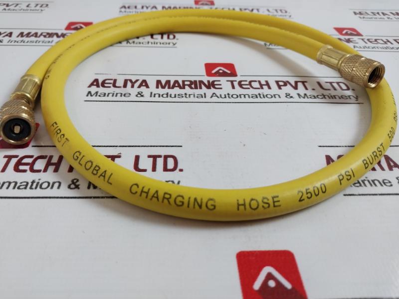 First Global Charging Hose 2500 Psi Set