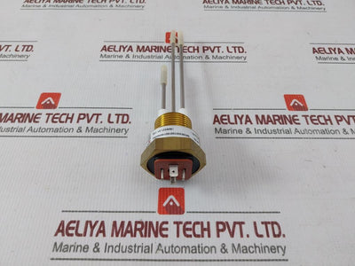 Fischer Nk06300100160180N0082 Sensor Transmitter