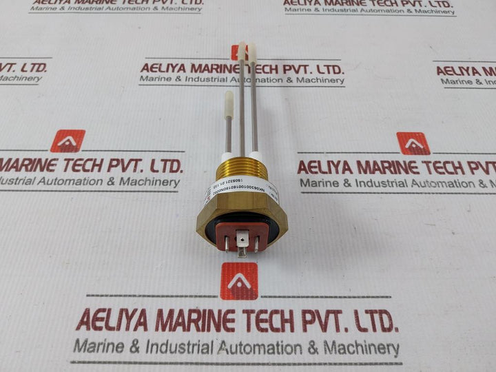 Fischer Nk06300100160180N0082 Sensor Transmitter