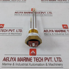 Fischer Nk06300100160180N0082 Sensor Transmitter