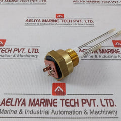 Fischer Nk06300100160180N0082 Sensor Transmitter