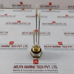 Fischer Nk06300100160180N0082 Sensor Transmitter
