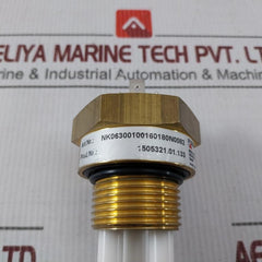 Fischer Nk06300100160180N0082 Sensor Transmitter