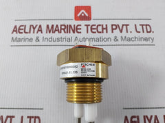Fischer Nk06300100160180N0082 Sensor Transmitter