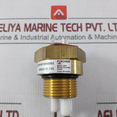 Fischer Nk06300100160180N0082 Sensor Transmitter