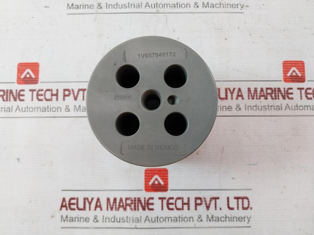 Fisher 1V657946172 Valve Plug 002804