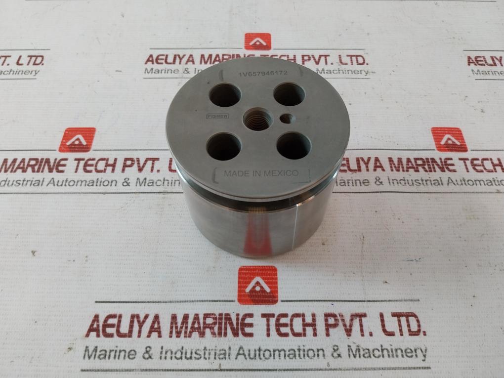 Fisher 1V657946172 Valve Plug 002804