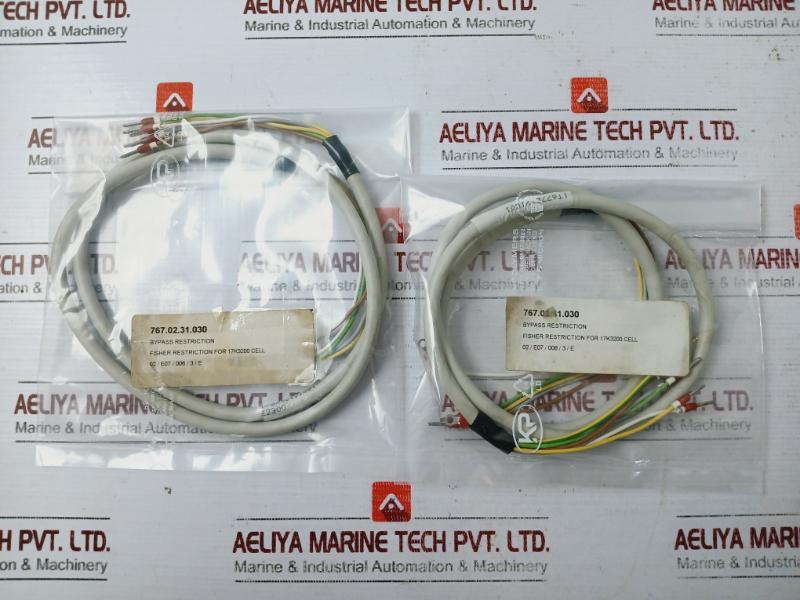FISHER 1T677B121U01 E2300 Bypass Restriction