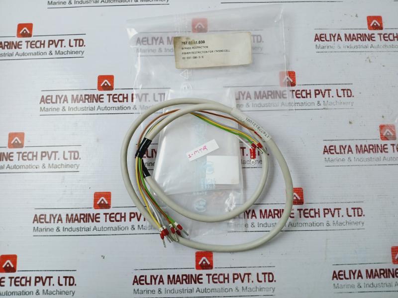 FISHER 1T677B121U01 E2300 Bypass Restriction
