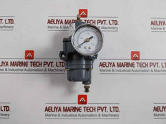 Fisher Controls 67Cfr-224 Pressure Regulator 250 Psig (17.2 Barg)