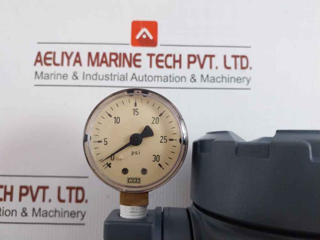 Fisher I2P-100
