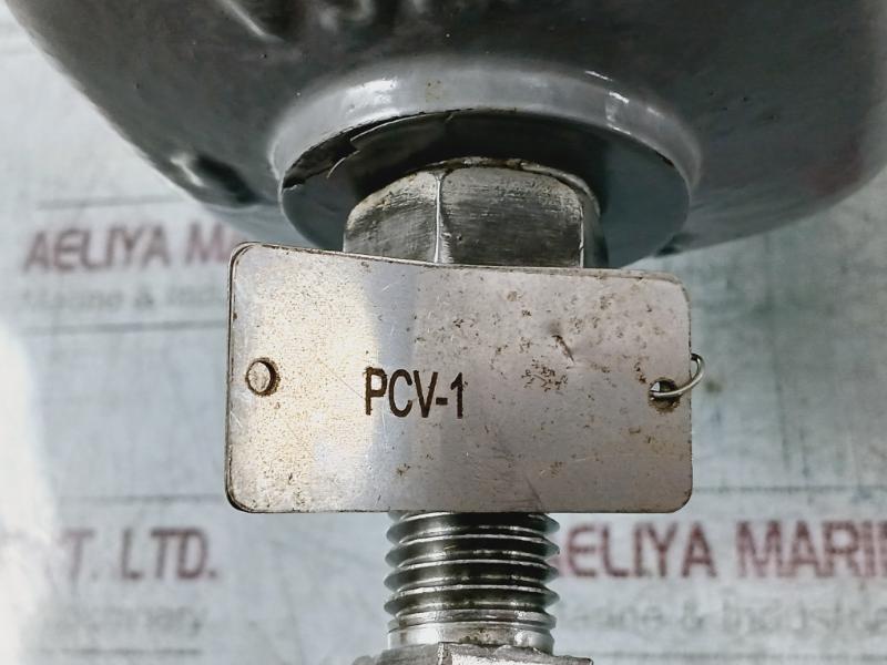 Fisher Mr95H Pressure Regulator Valve Cf3M/Cf8M+A030