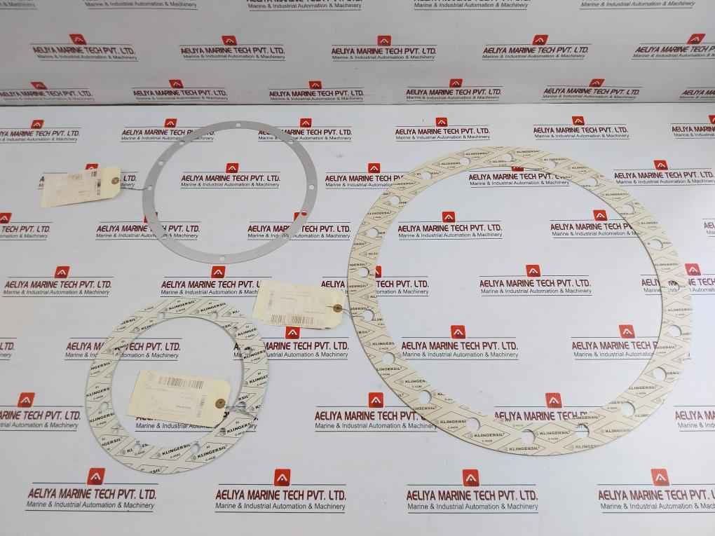 Flat Gasket With Screw Holes Gasket Kit Pff54860/001 Cryo Star