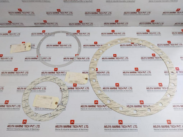 Flat Gasket With Screw Holes Gasket Kit Pff54860/001 Cryo Star