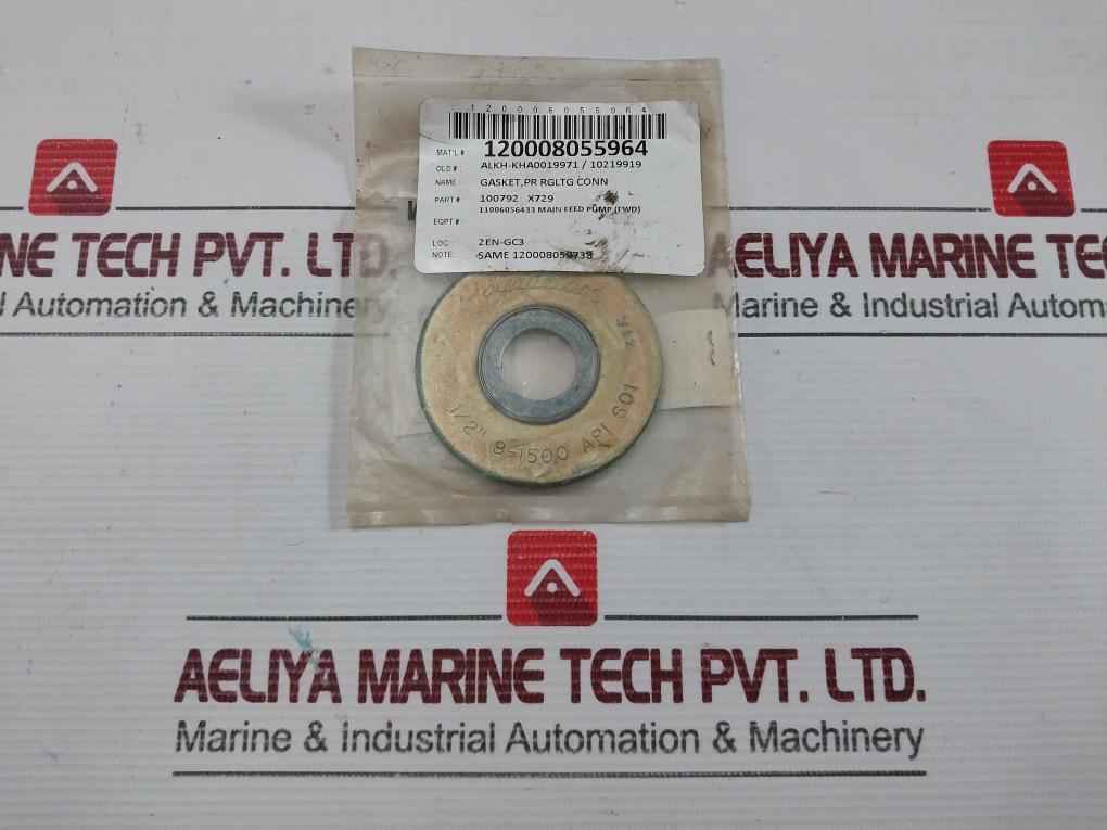 Flexitallic Pressure Regulator Gasket 100792 X729
