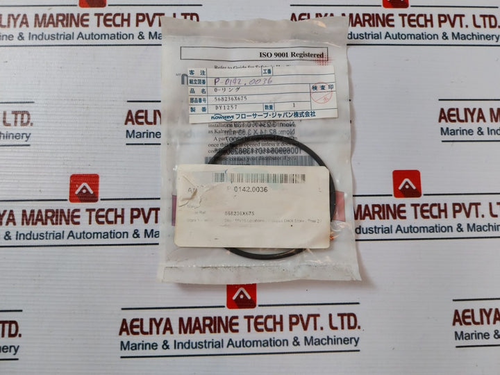 Flowserve 568261X675 O-ring Kit 568250X675