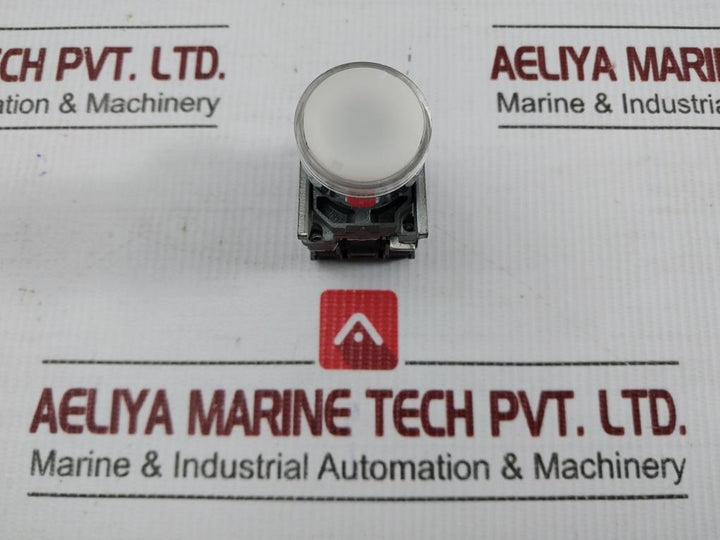 Flush Push Button A600-q600 240V 3A Schneider Electric Zbe-101