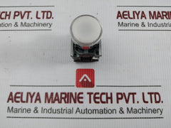 Flush Push Button A600-q600 240V 3A Schneider Electric Zbe-101