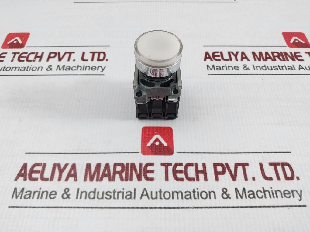 Flush Push Button A600-q600 240V 3A Schneider Electric Zbe-101