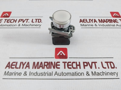 Flush Push Button A600-q600 240V 3A Schneider Electric Zbe-101