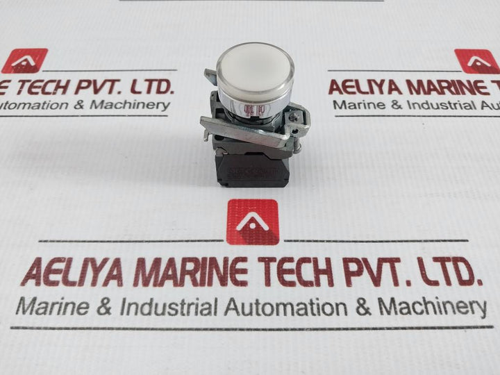 Flush Push Button A600-q600 240V 3A Schneider Electric Zbe-101